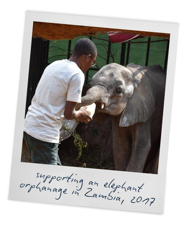 A man feeding an elephant, with handwritten text reading "supporting an elephant orphanage in Zambia, 2017"