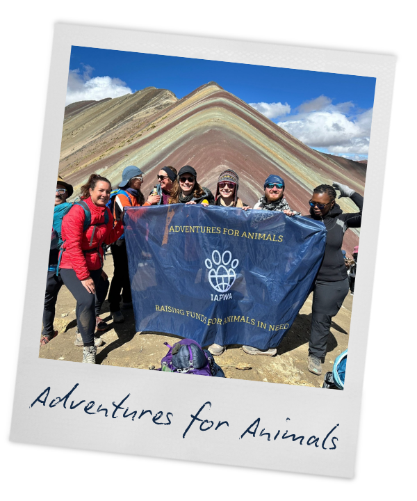 Group of people holding a blue banner that says "Adventures for Animals" and "Raising Funds for Animals in Need" at a mountain landscape