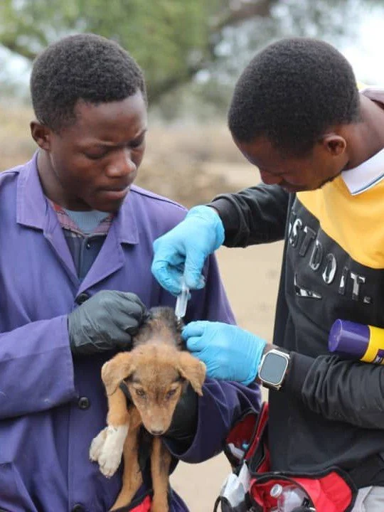 Two men, one holding a puppy, administers a vaccine or injection to the puppy outdoors, with trees in the background.