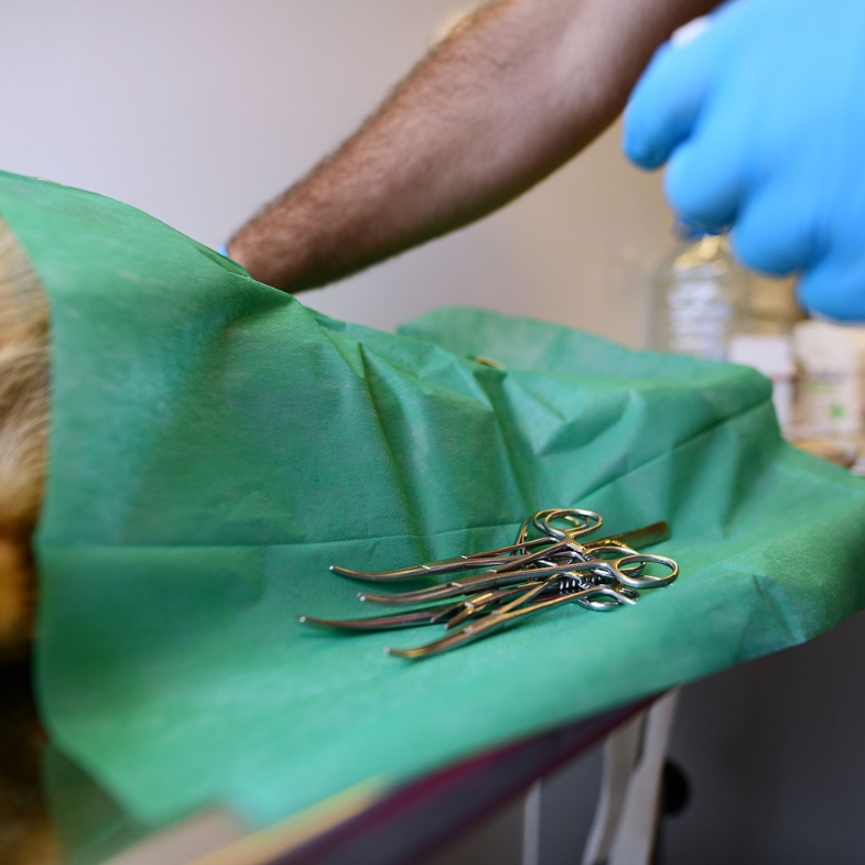 Surgical instruments on a green sterile drape at an operating table.