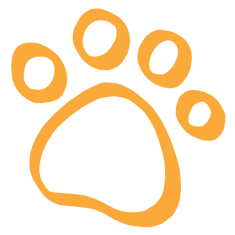 Orange paw print illustration
