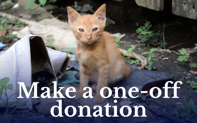 Make a one-off donation