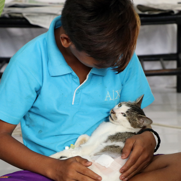 A person in a light blue polo shirt holding a cat on their lap.