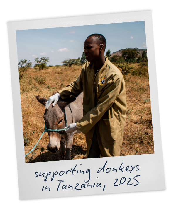 A person with a donkey in a dry, grassy landscape, with handwritten text reading "supporting donkeys in Tanzania, 2025."