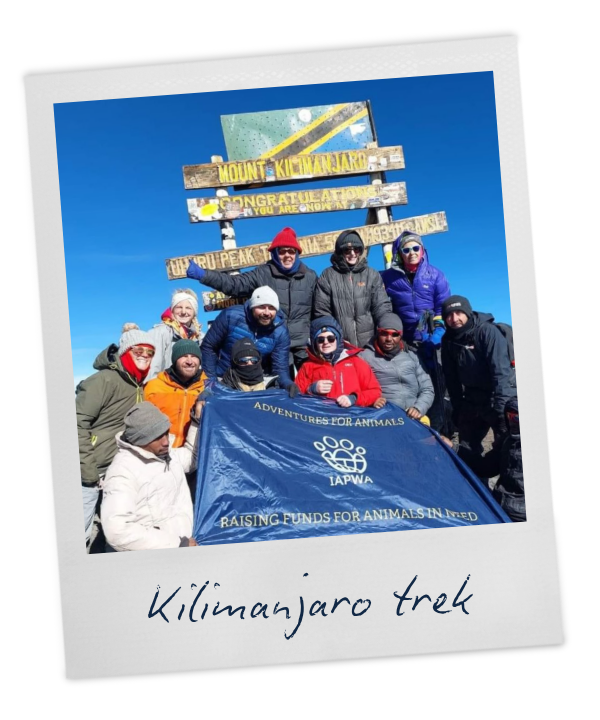 Group of people posing at Mount Kilimanjaro summit with a banner that reads "Adventures for Animals"