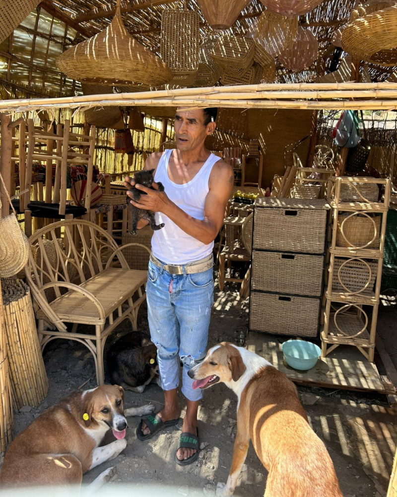 A man stands in a shop surrounded by wicker furniture. He's holding a small black kitten, and three dogs sit or lay at his feet.