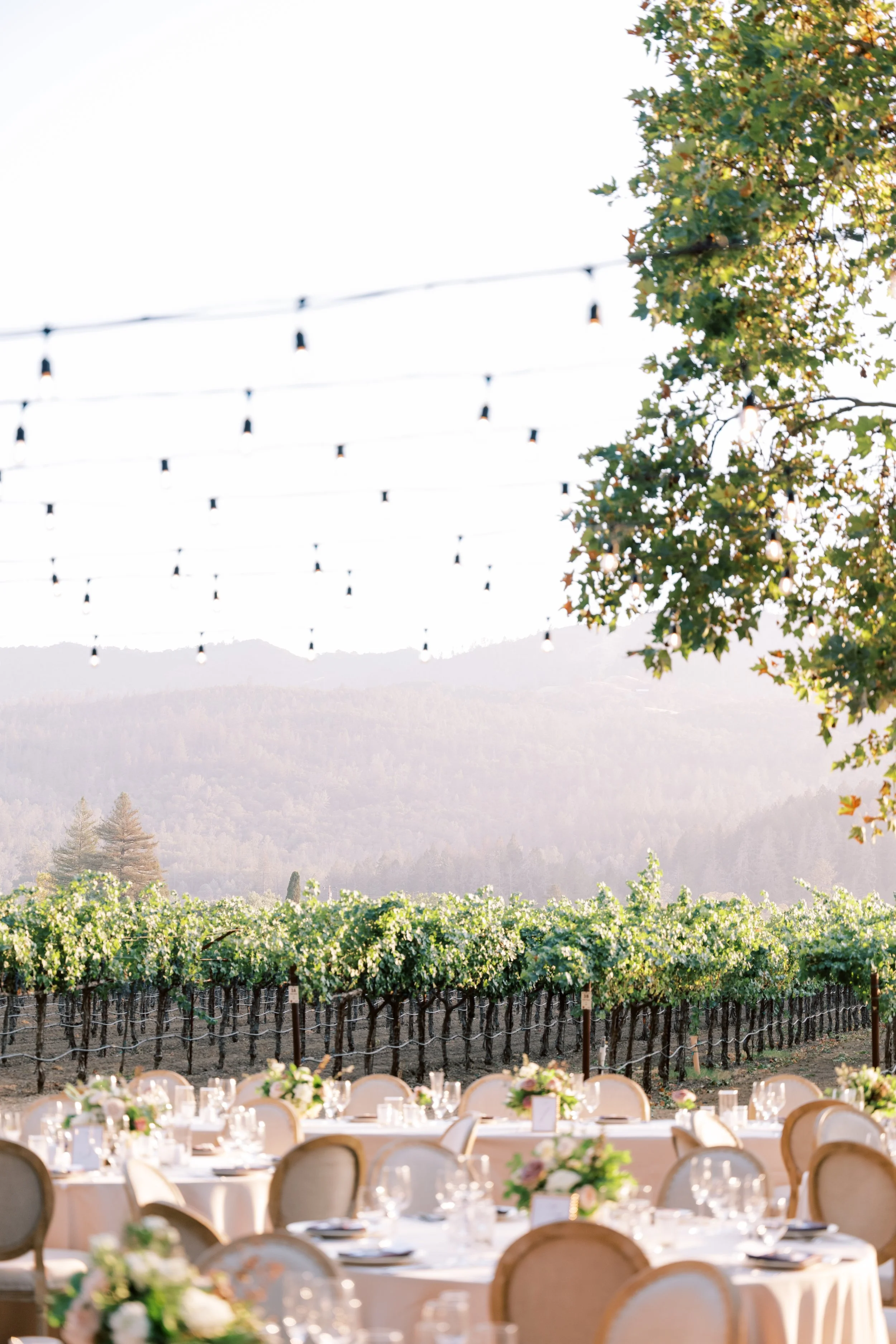 Jaclyn-Leo-Wedding (825 of 1320).jpg