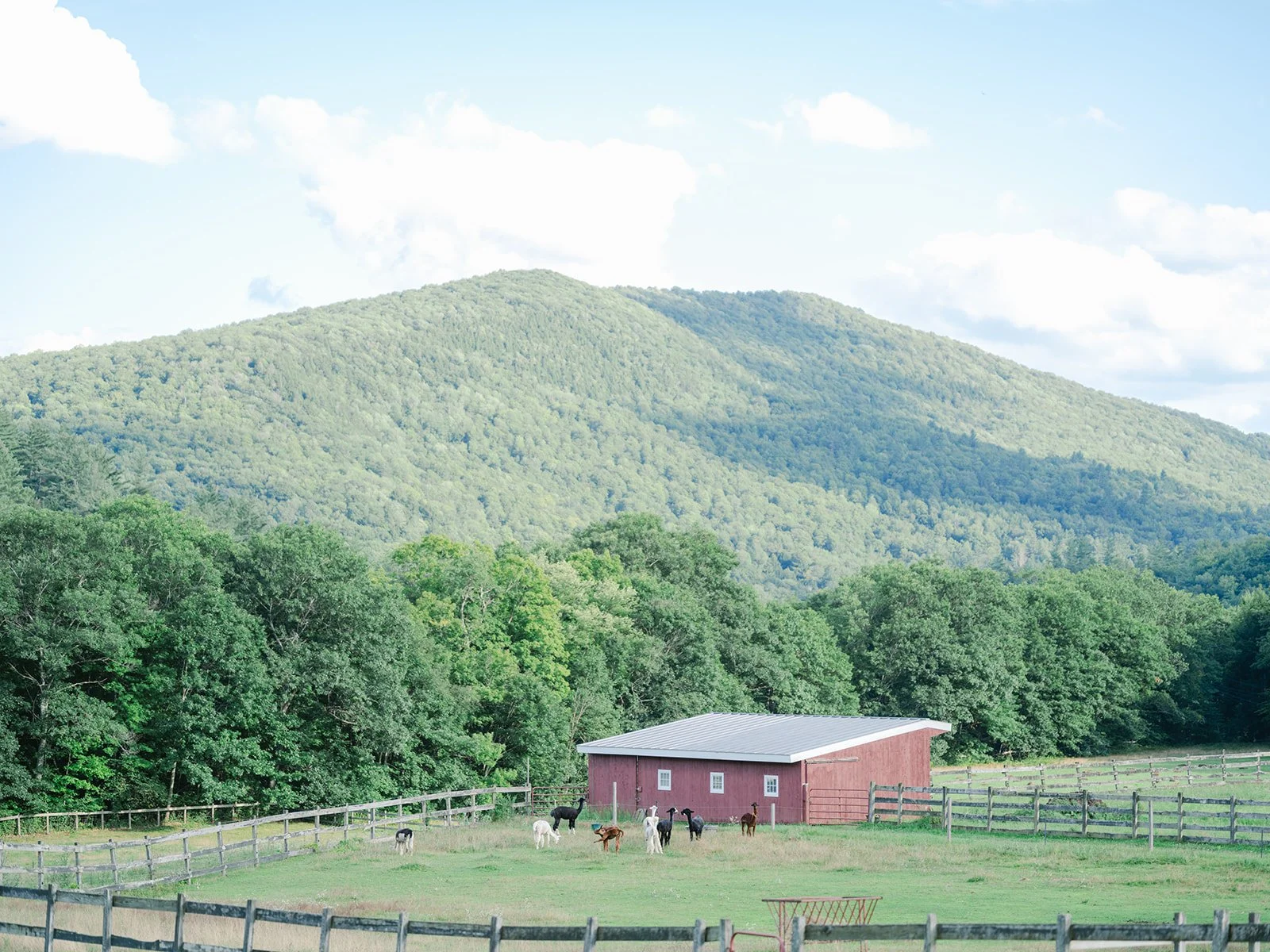 OQ Farm Barn photo used for watercolor wedding invitations by tying the knots wedding studio