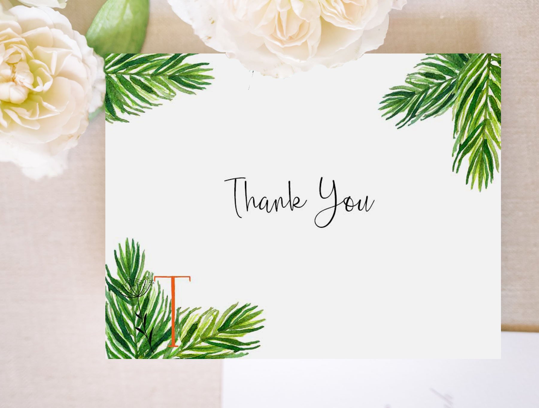 Mexico Thank You 5
