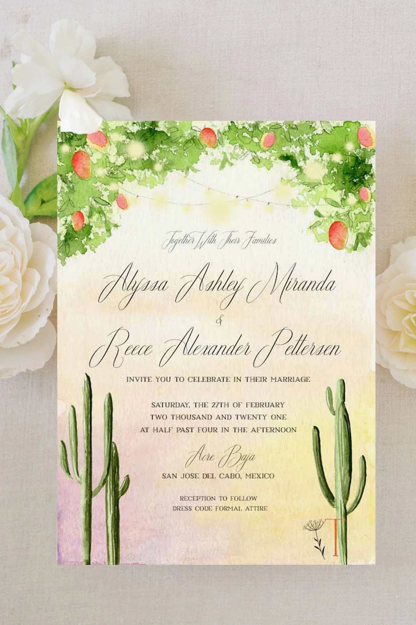 Mexico Invitation 4