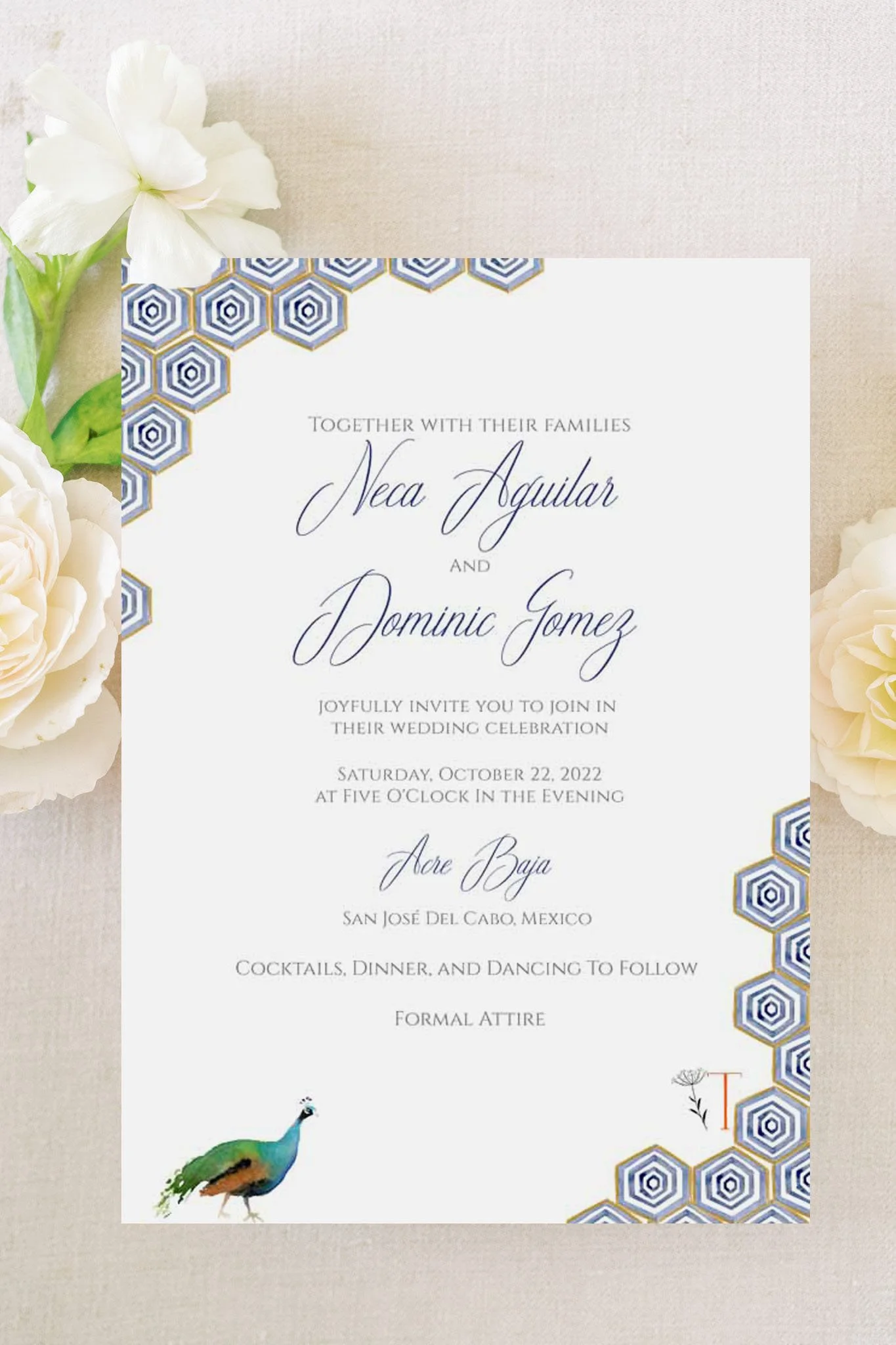 Mexico Invitation 10