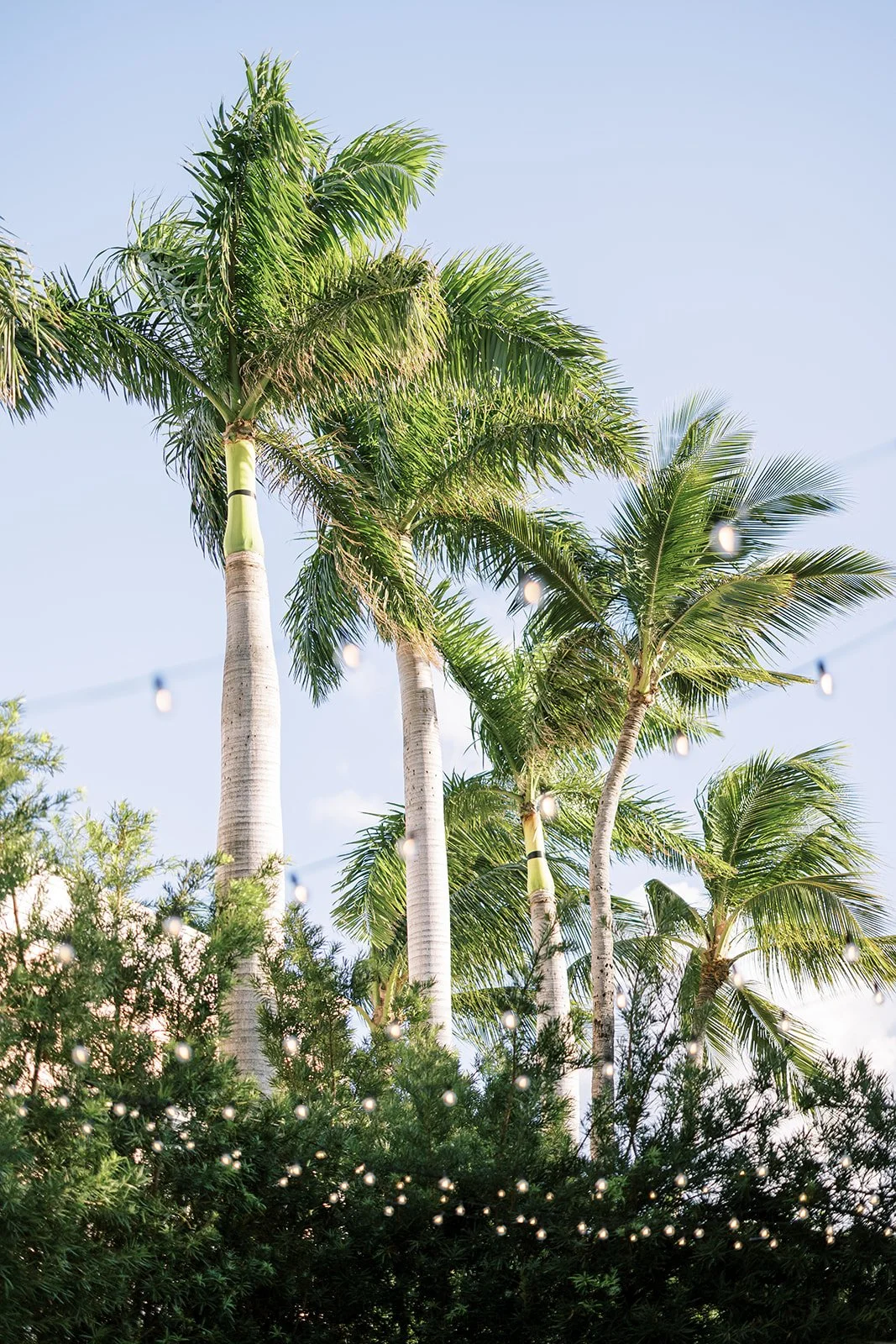 SunnyLeePhoto-80_websize - Copy.jpg