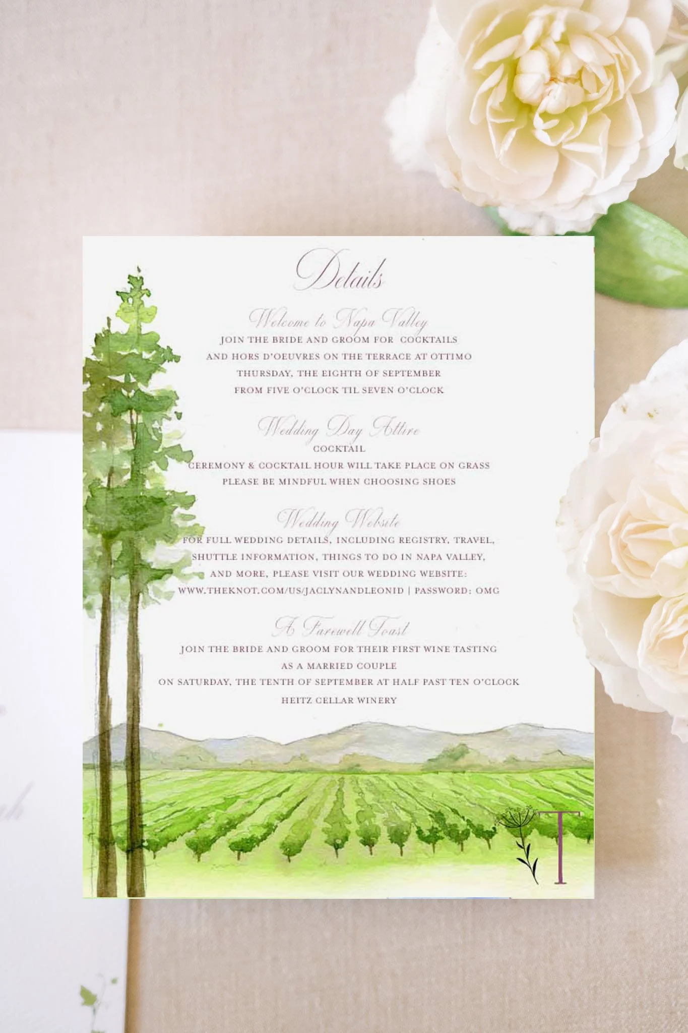 jaclyn vineyard details photo.jpg