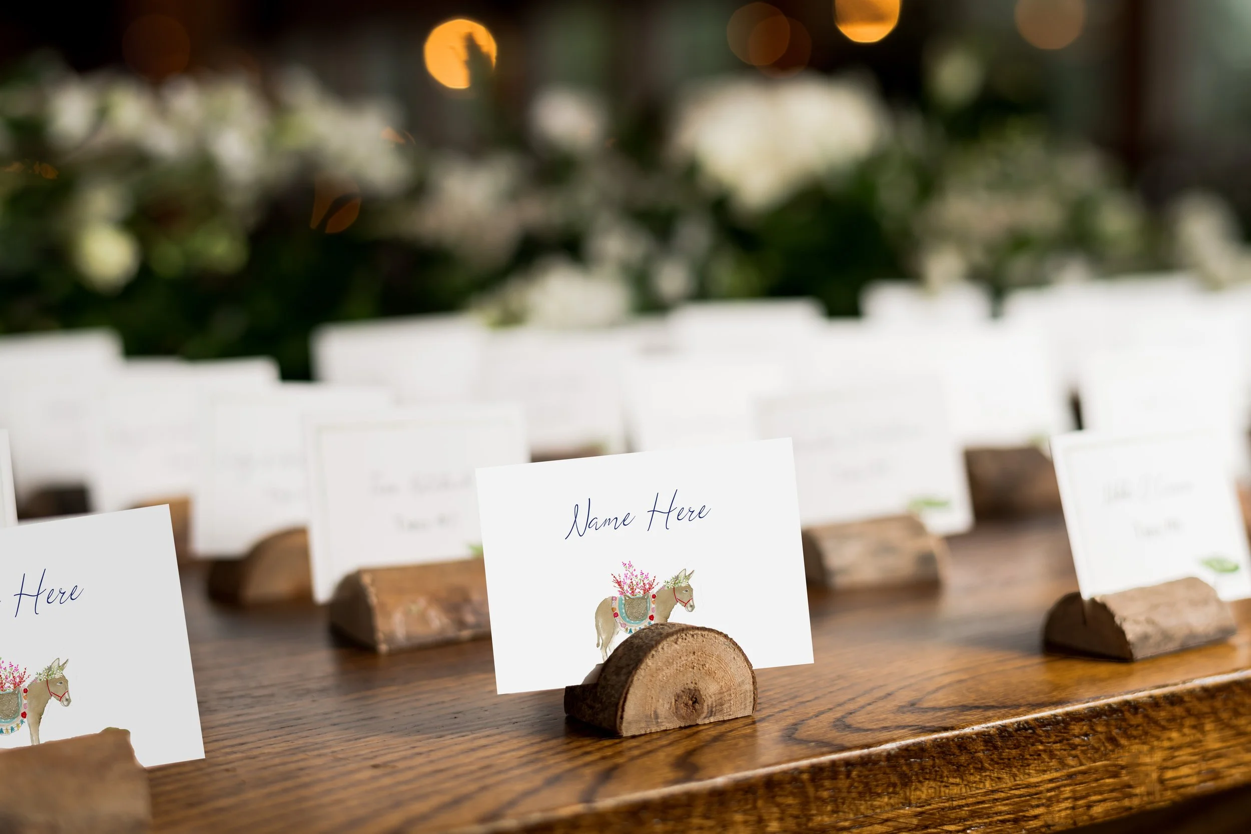 Donkey place card acre mexico photo.jpg