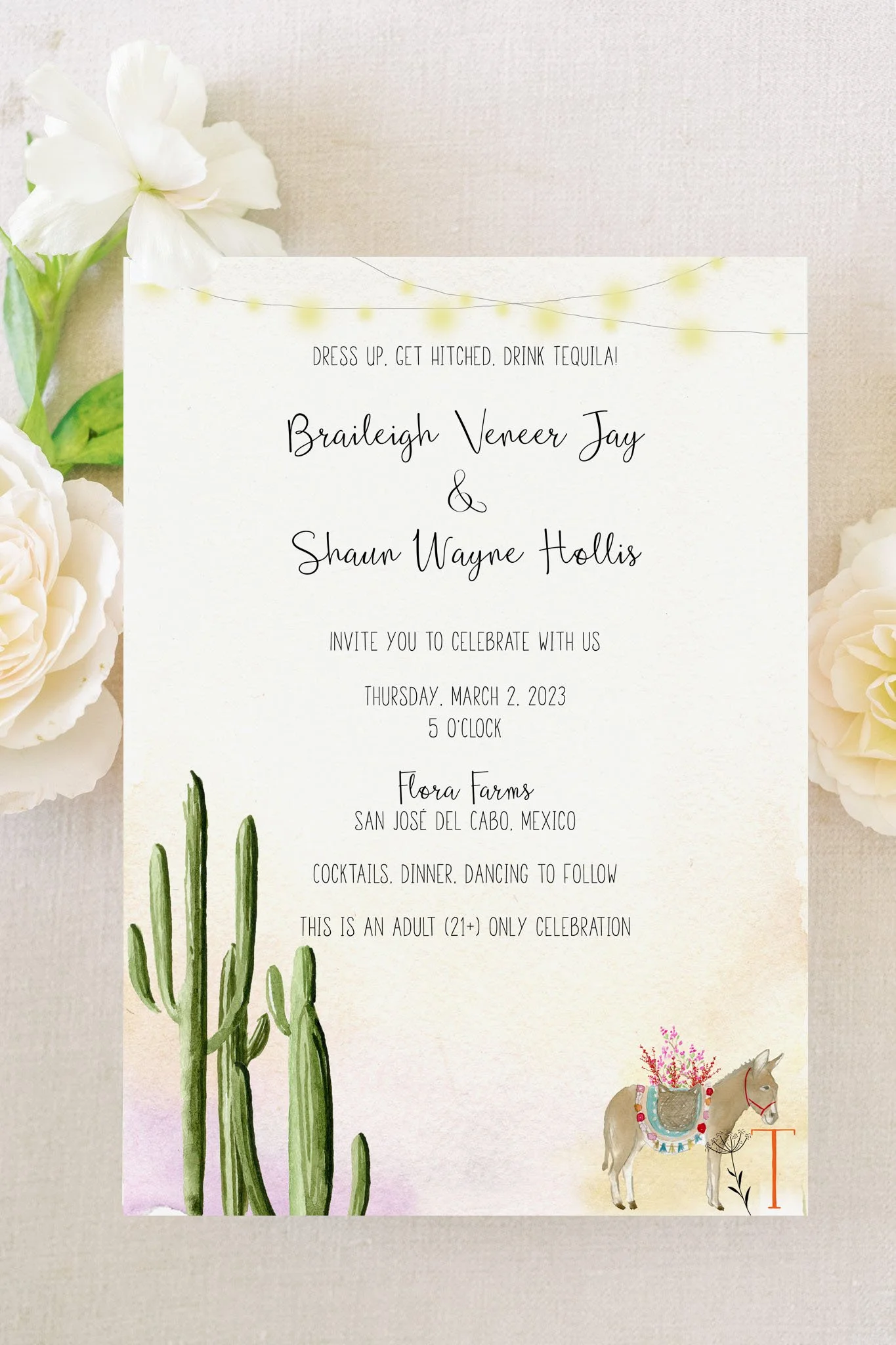 Mexico Invitation 5