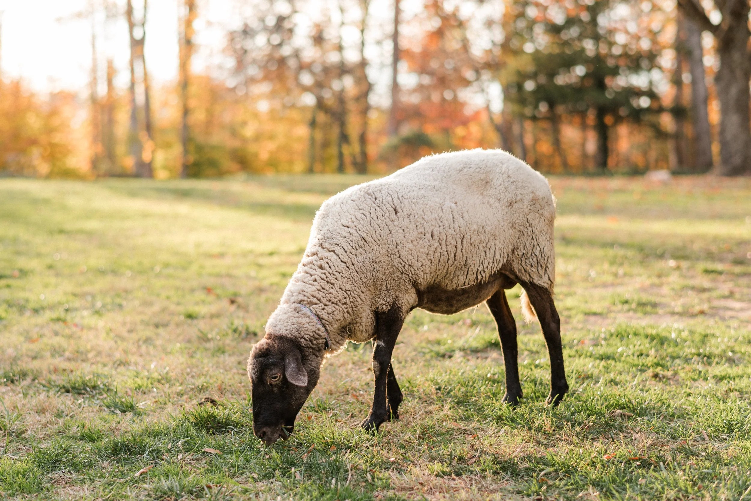 Cocktail Hour-21.jpg