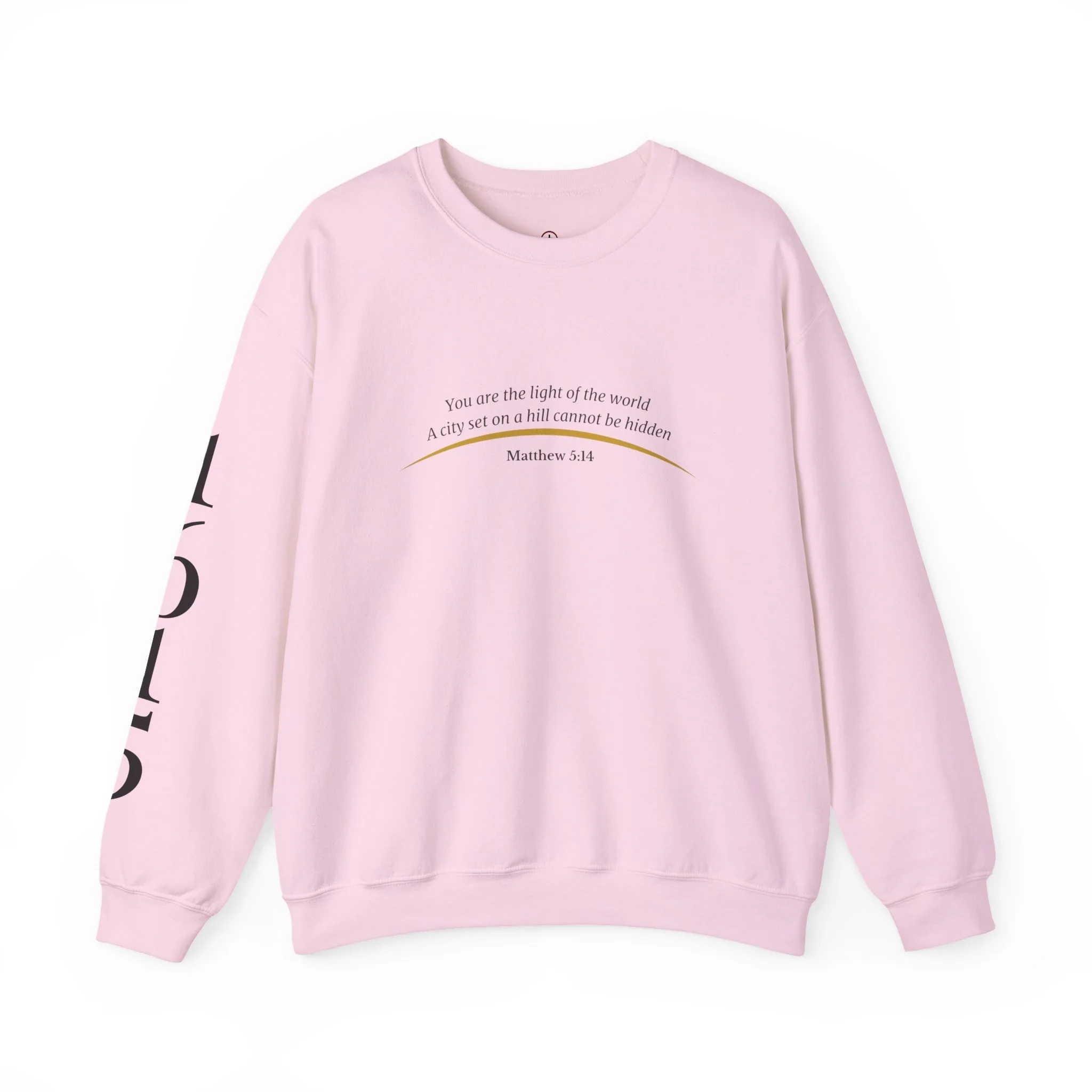 Crewneck Sweatshirt — 