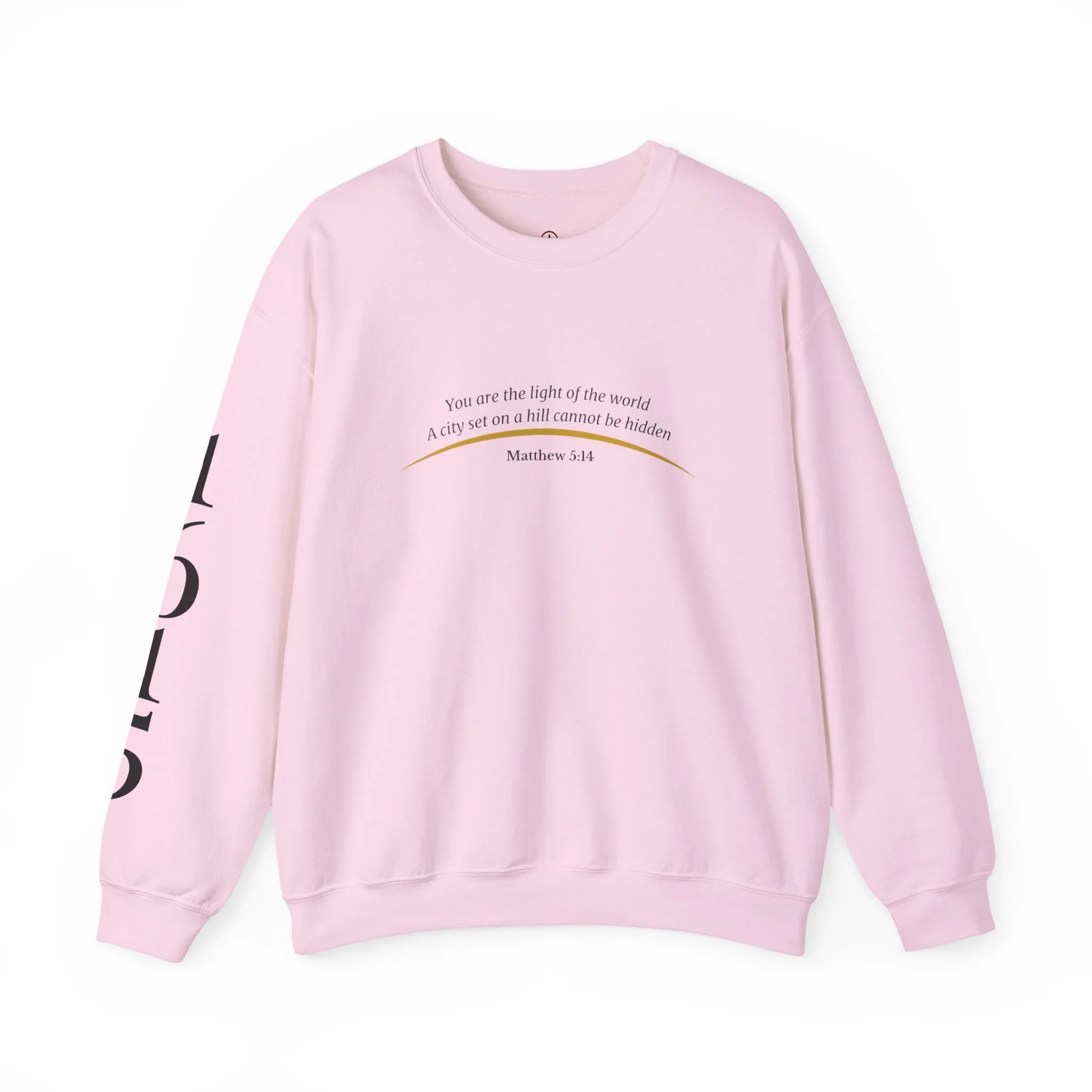 Crewneck Sweatshirt — 