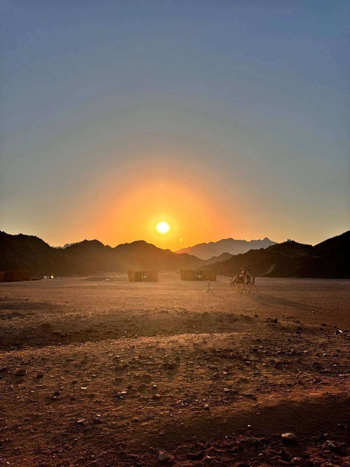 WhatsApp Image 2026-03-06 at 19.48.01.jpeg