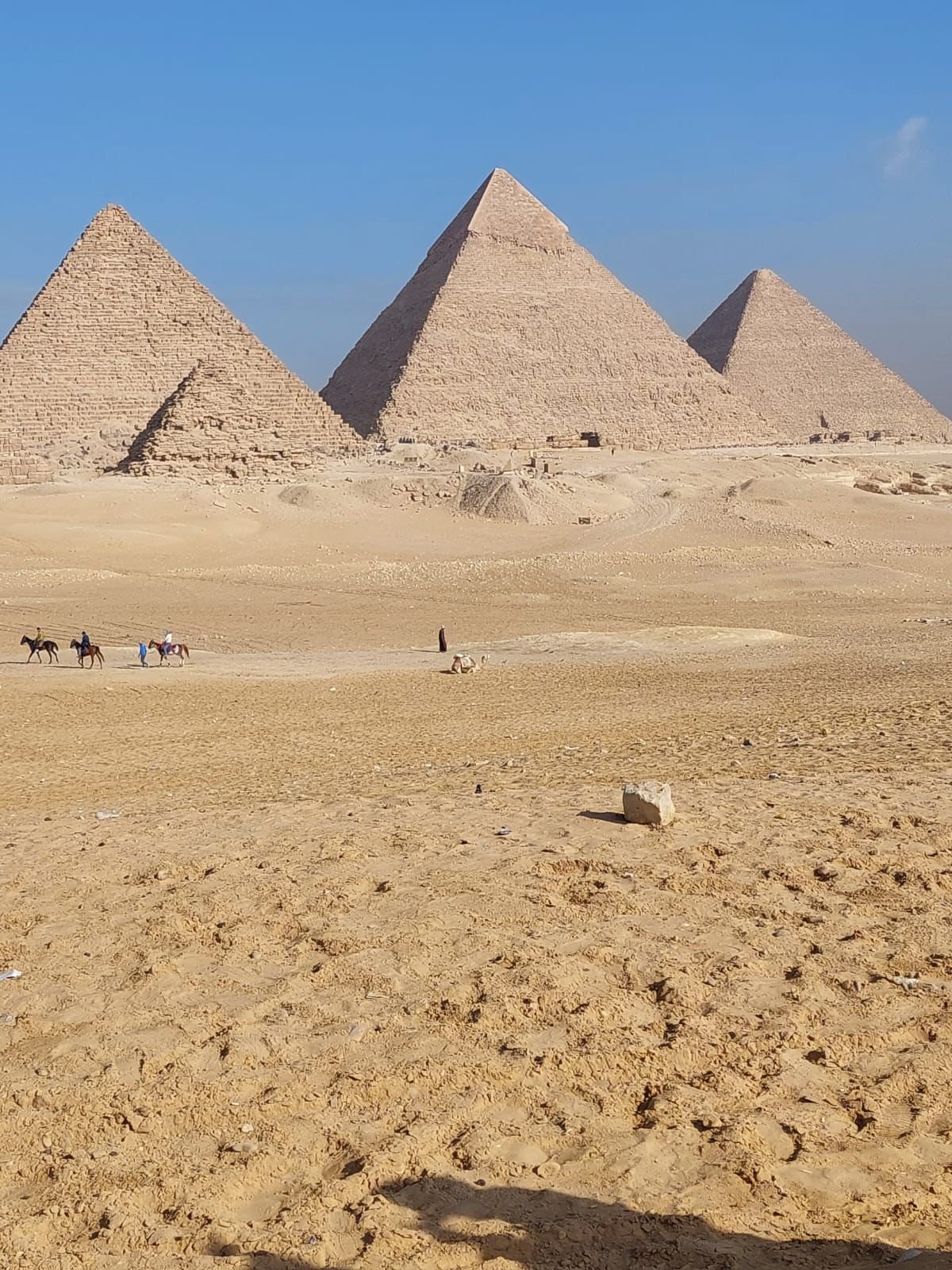 WhatsApp Image 2026-03-15 at 20.54.11.jpeg