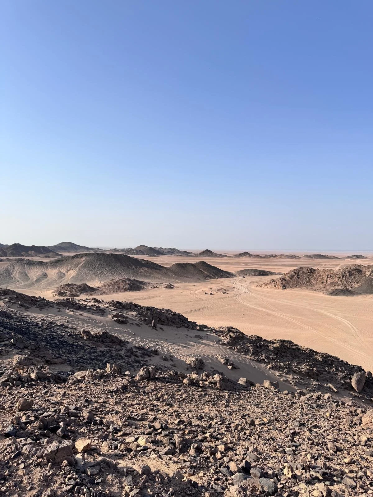 WhatsApp Image 2026-03-06 at 19.48.00.jpeg