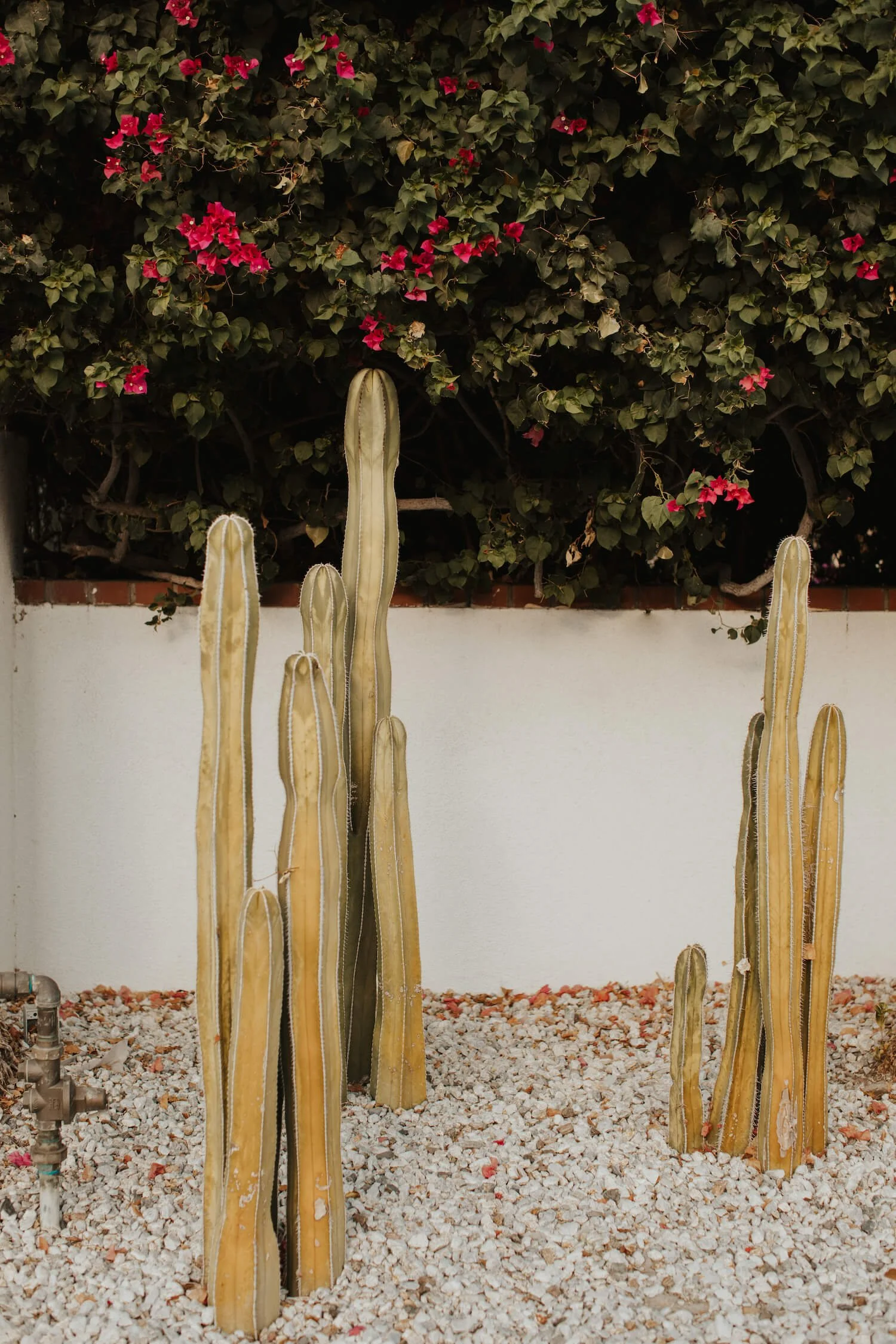 THELOFT325-ashgabesphoto-36 (1).jpg