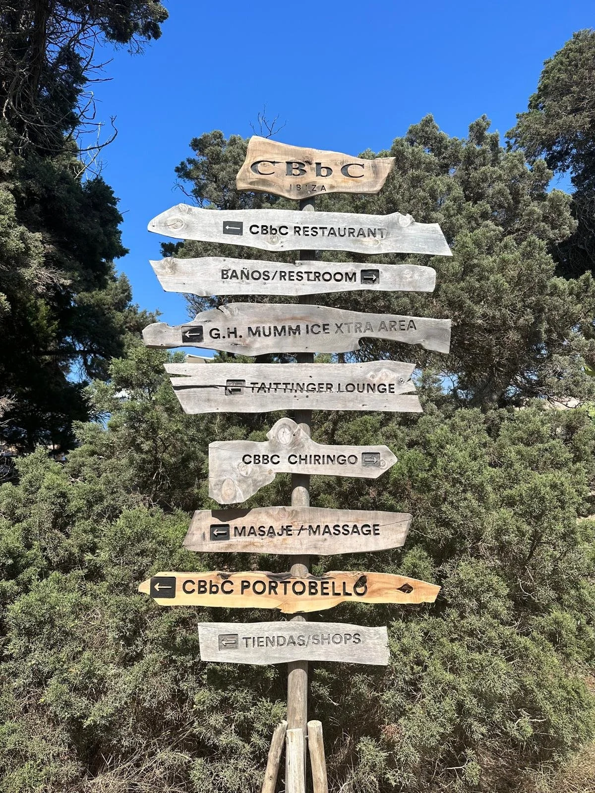 Wooden directional signs with labels, surrounded by trees and a clear blue sky