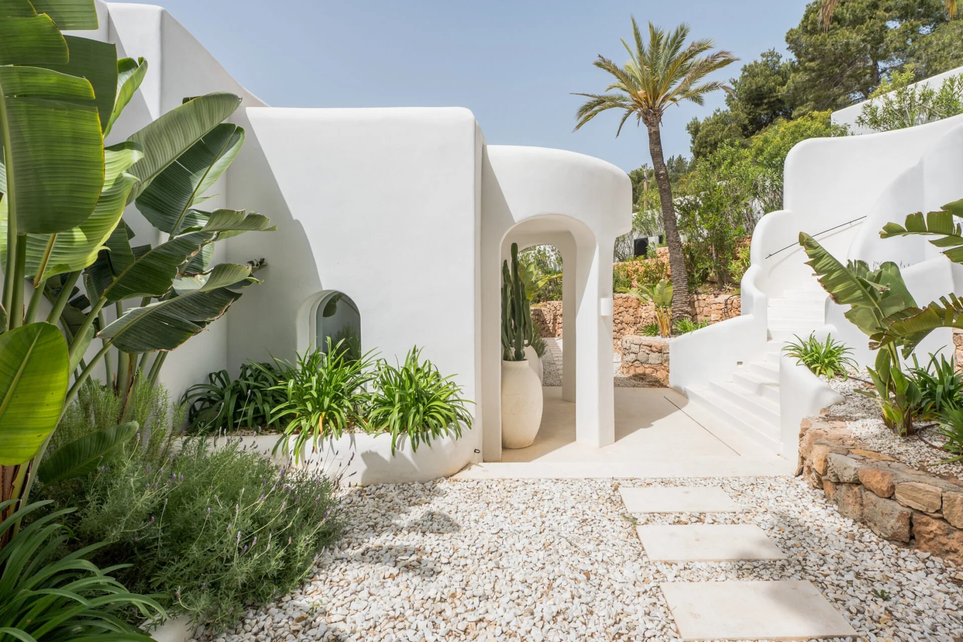 Modern white Mediterranean-style building with lush green tropical plants, large potted cactus, and outdoor stone stairs, under a clear blue sky with palm trees and garden landscaping.