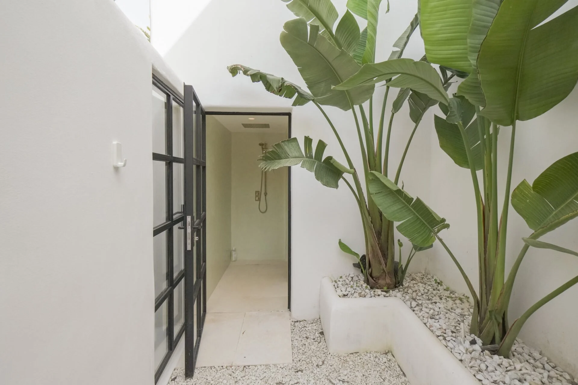 Indoor area with large potted banana plants and a showerhead on the wall at the end of the corridor