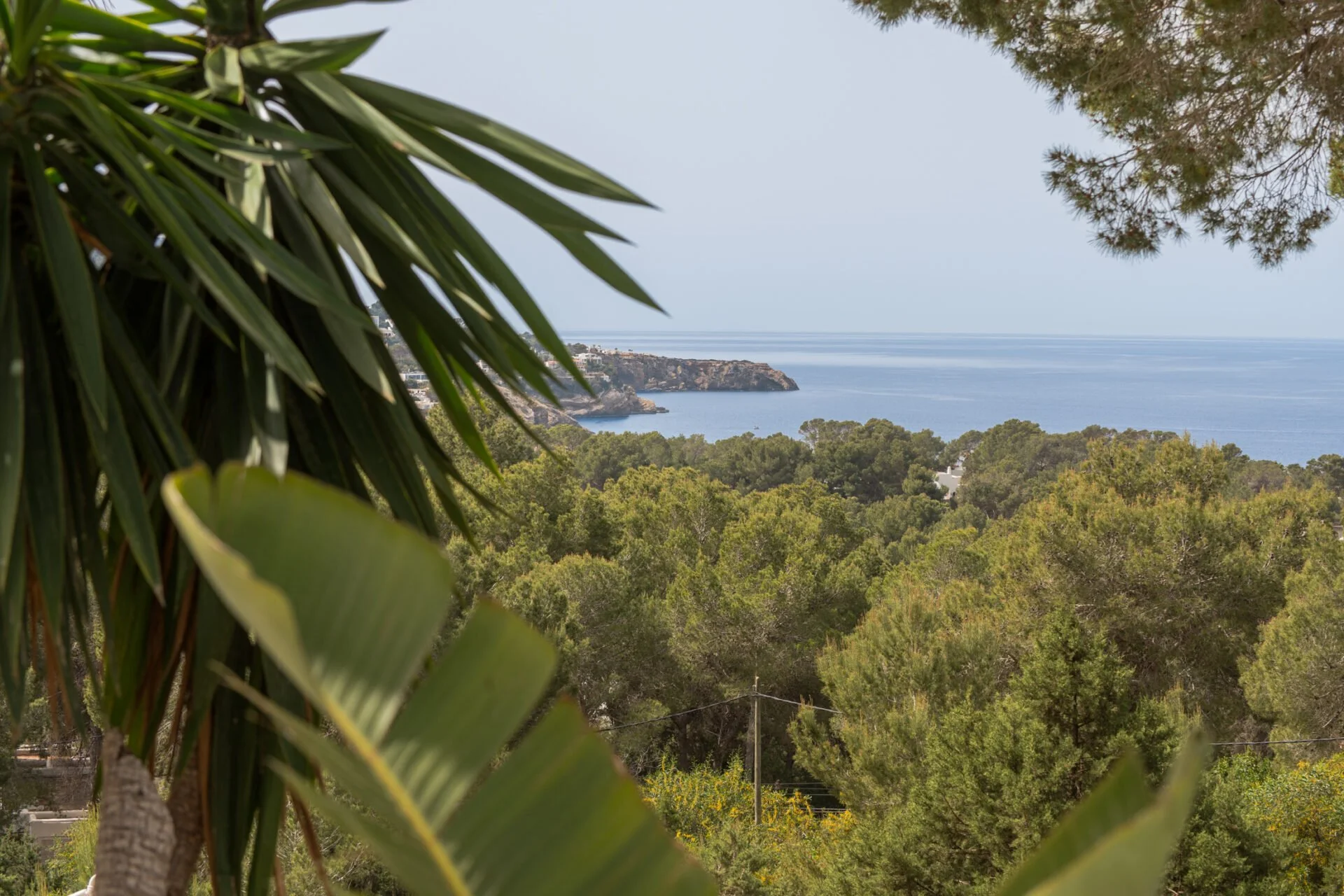 A scenic view of a Ibizian coastal landscape with lush green trees in the foreground, a rocky headland in the middle distance, and a calm ocean extending to the horizon under a clear sky.