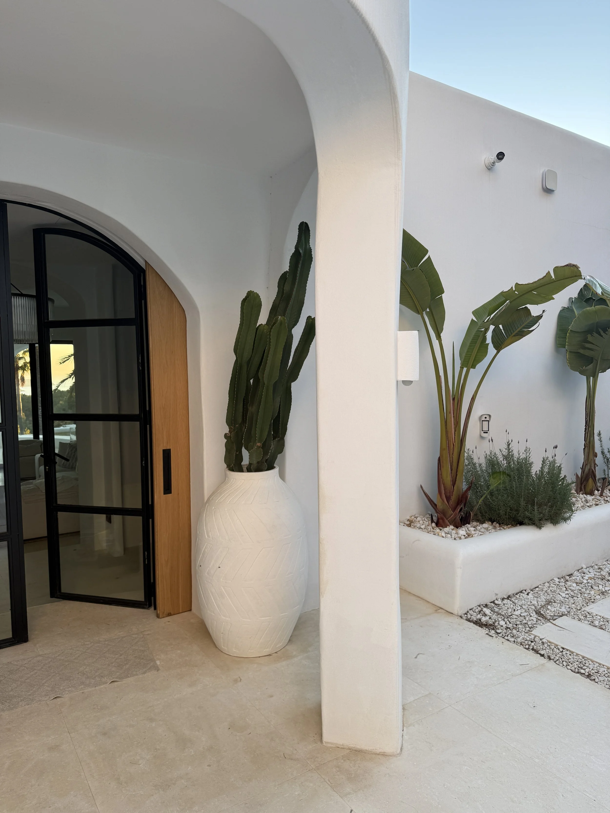 A white planter with tall, green cactus plants inside, positioned next to a white wall and an arched doorway with a wooden door. An outdoor garden with large green plants is visible in the background.