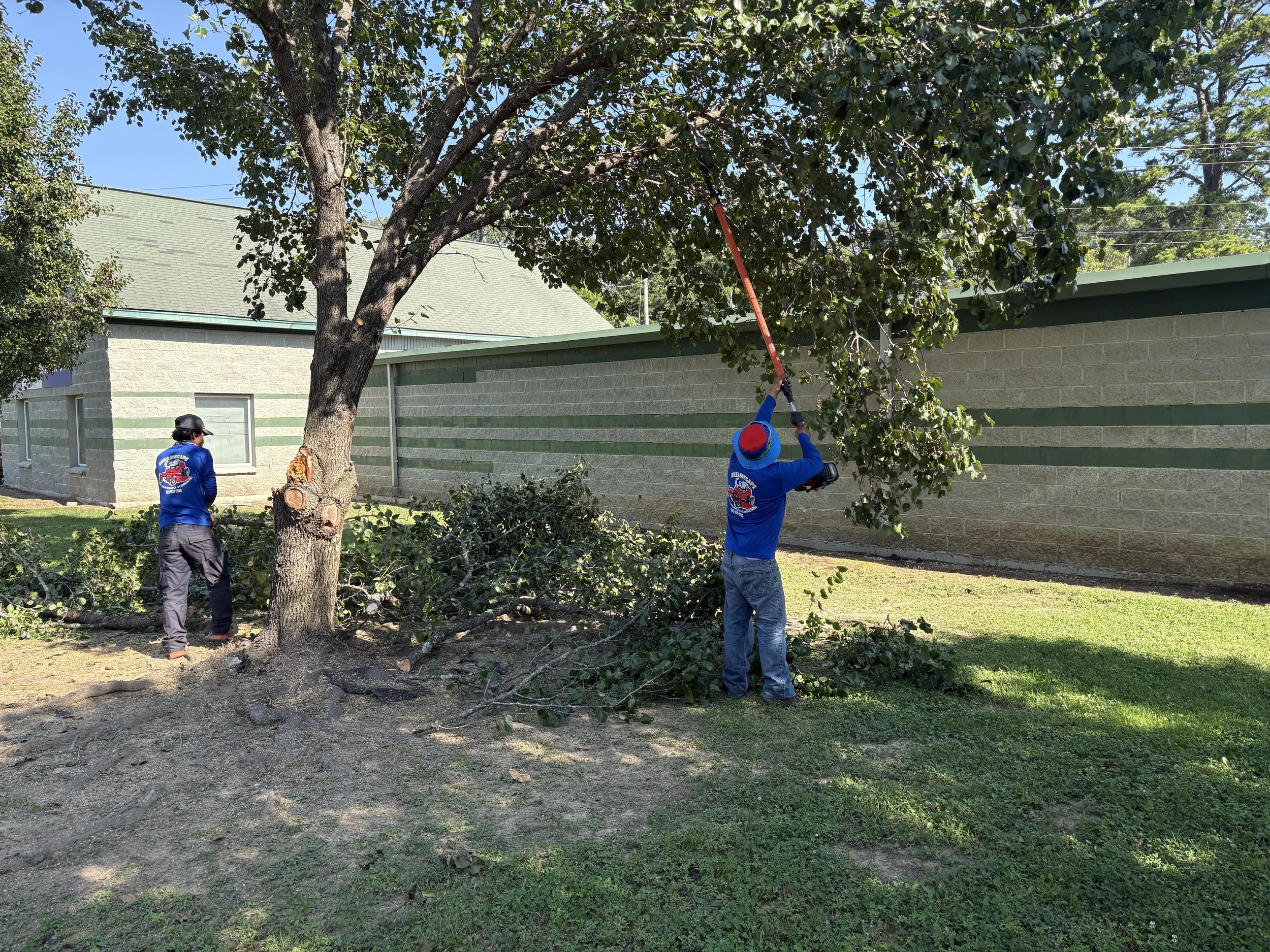 Workers in blue shirts and a red hat cut tree branches with a pruning tool near a building wall.