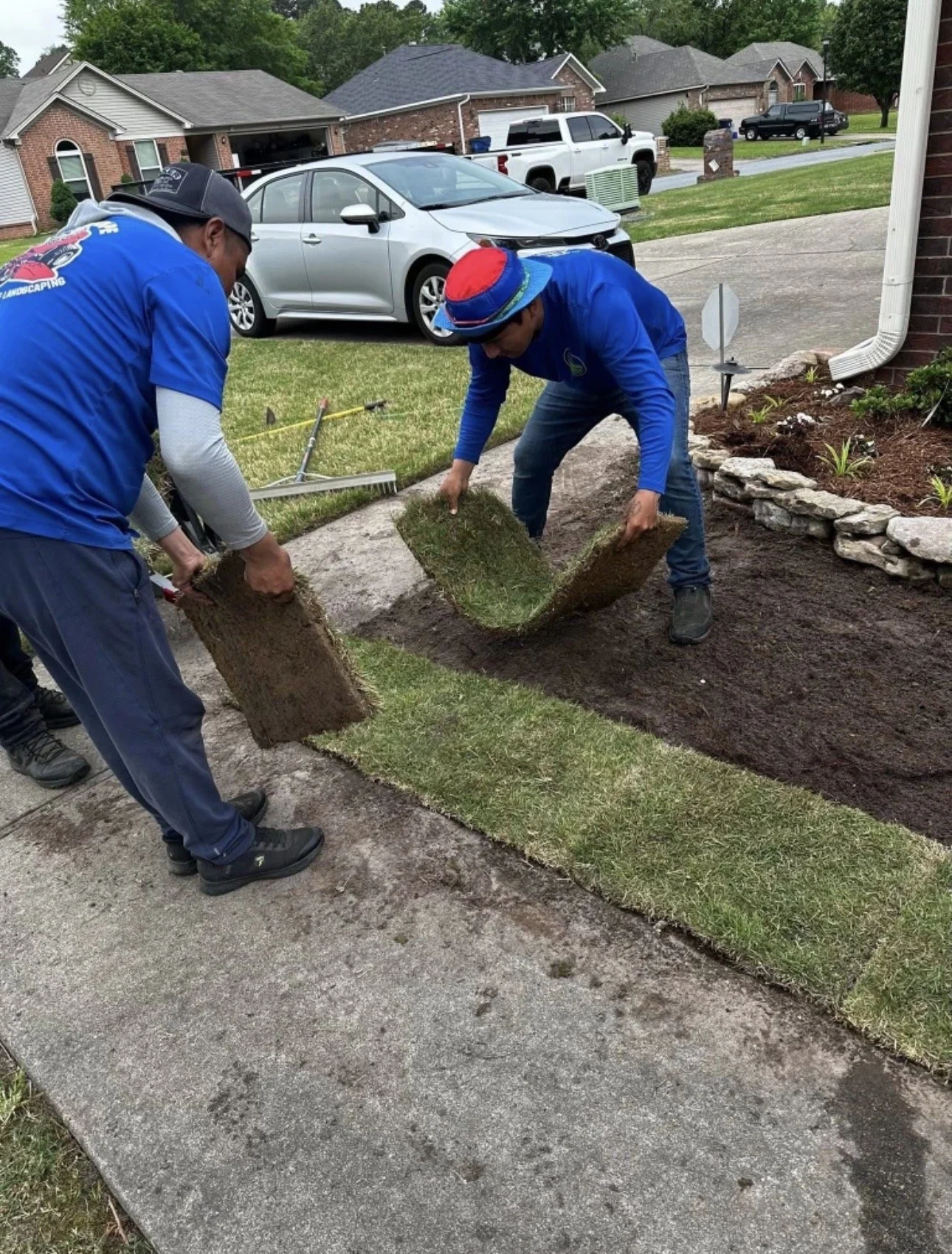 Two men are installing sod on a residential lawn, with one holding a piece of sod and the other adjusting it, while several cars are parked in the background on a suburban street.