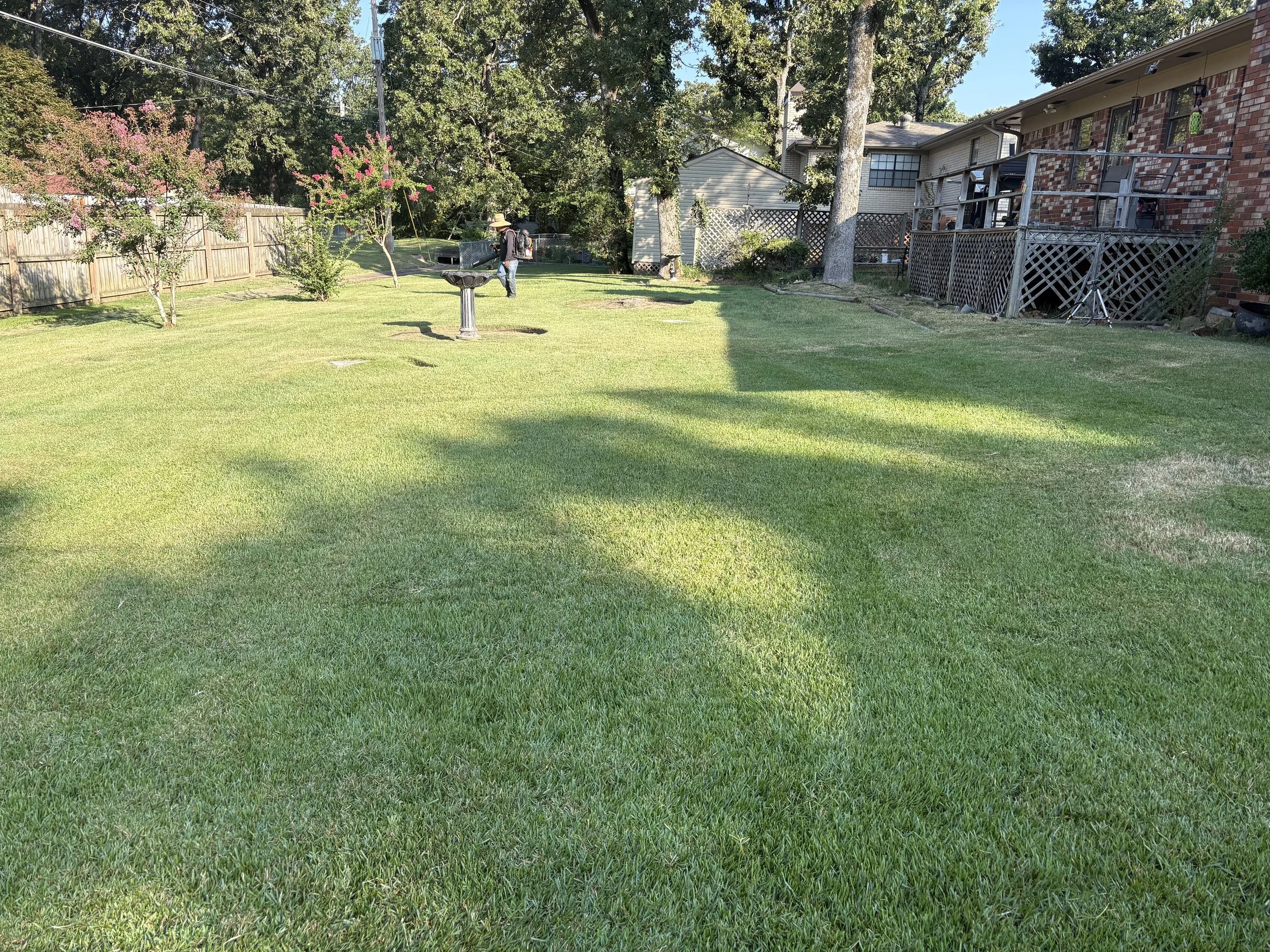 A backyard with a lush green lawn, small flowering trees, a wooden fence, and a deck attached to a brick house. A person wearing a hat and carrying a backpack is walking across the yard.