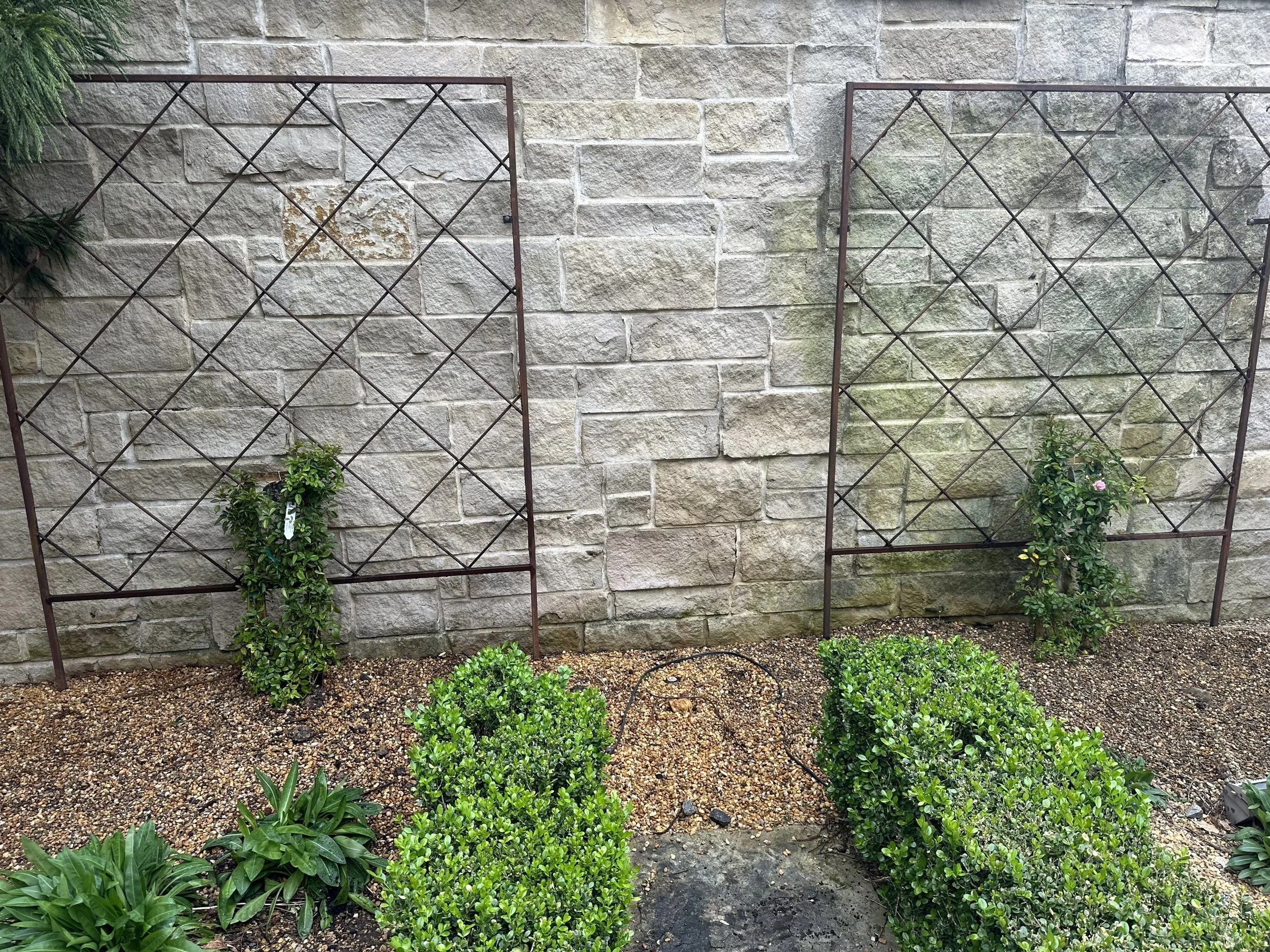 A garden with green shrubbery and small plants in front of a stone wall, with two metal trellises leaning against the wall.