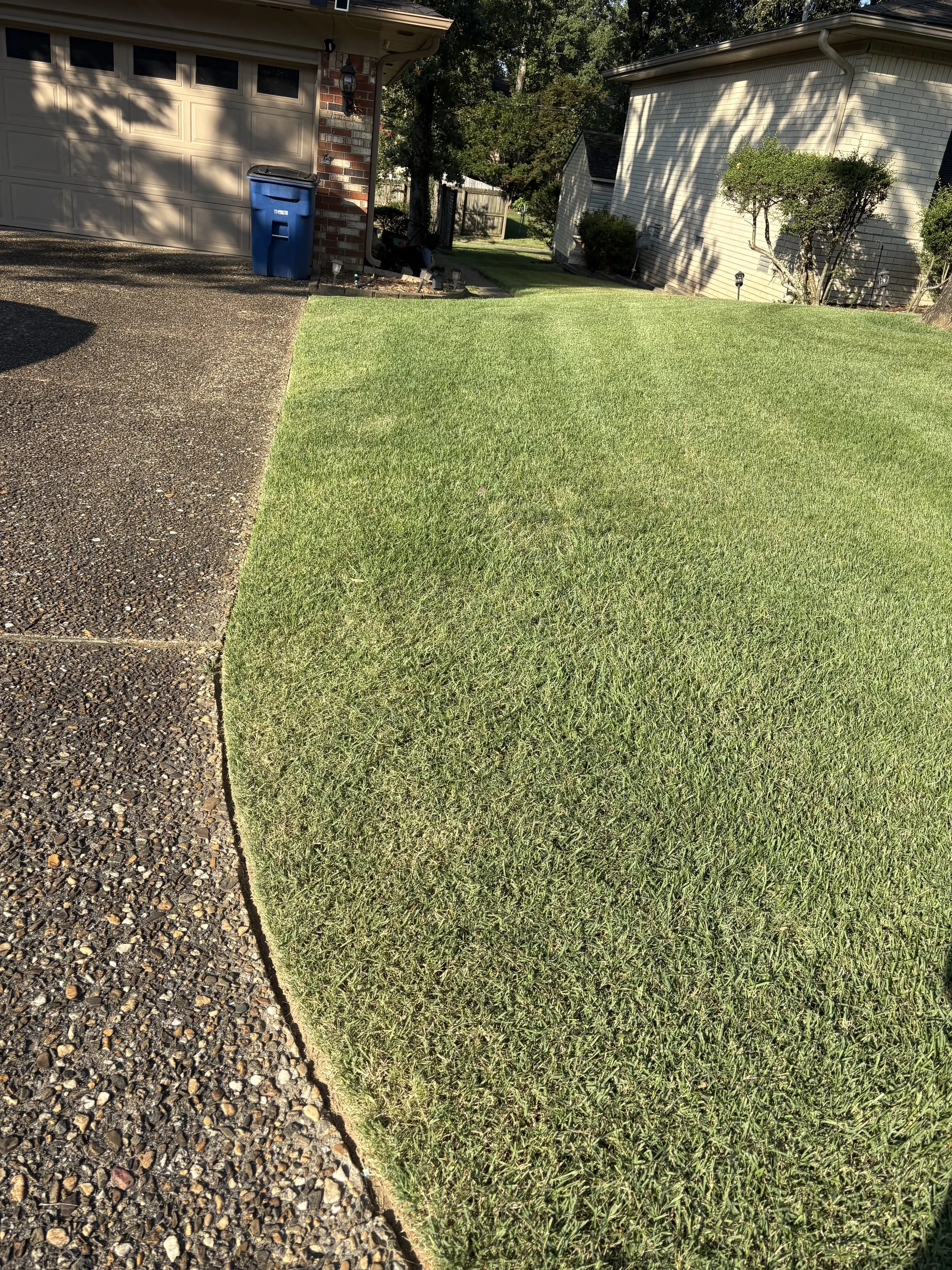 A suburban yard with a driveway on the left, a grassy lawn on the right, a brick house with a garage, a blue trash bin, and trees in the background.