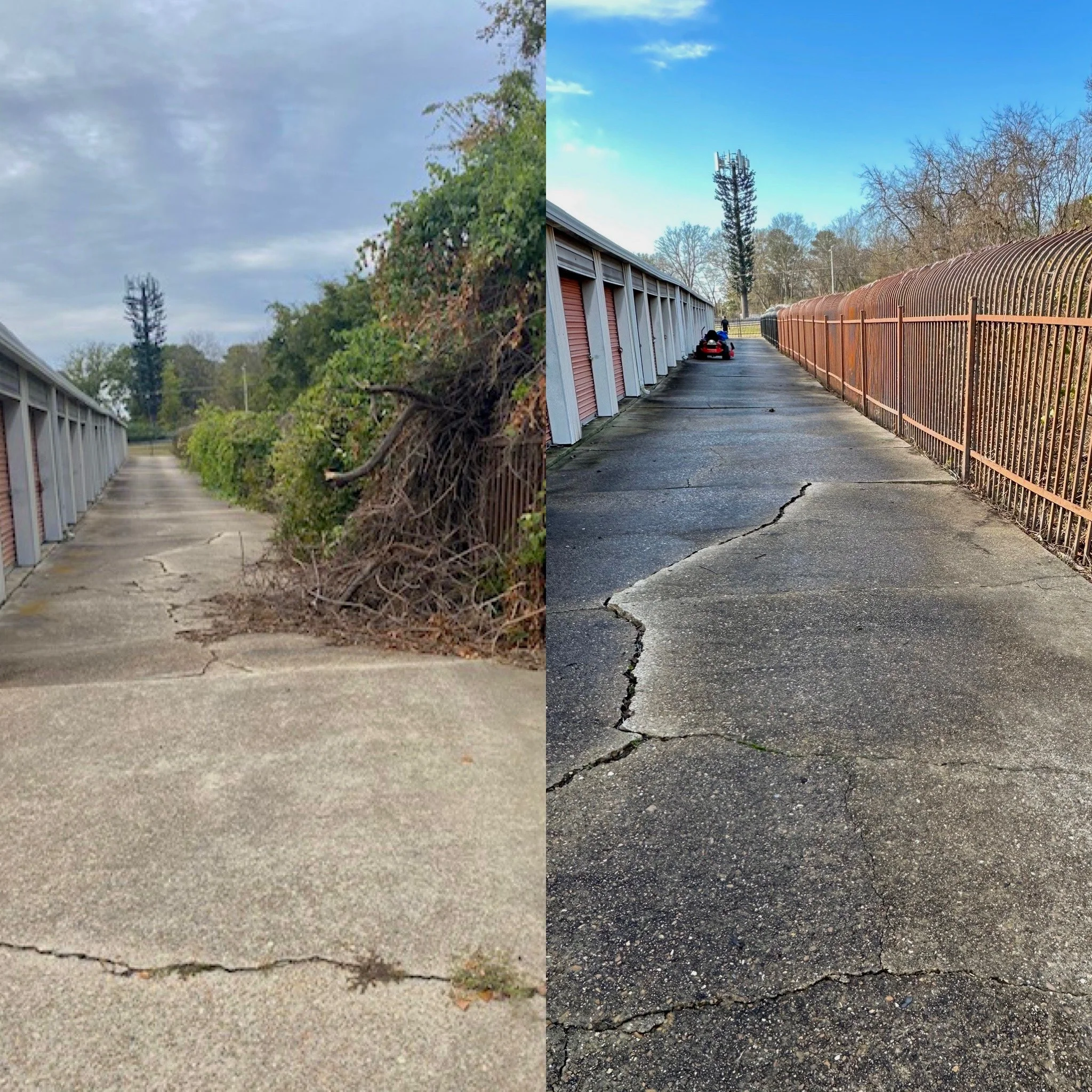 Side-by-side images showing a pathway, with the left side covered in debris and overgrown plants, and the right side cleared with a crack in the pavement and a fence, featuring a person on a motorized scooter.