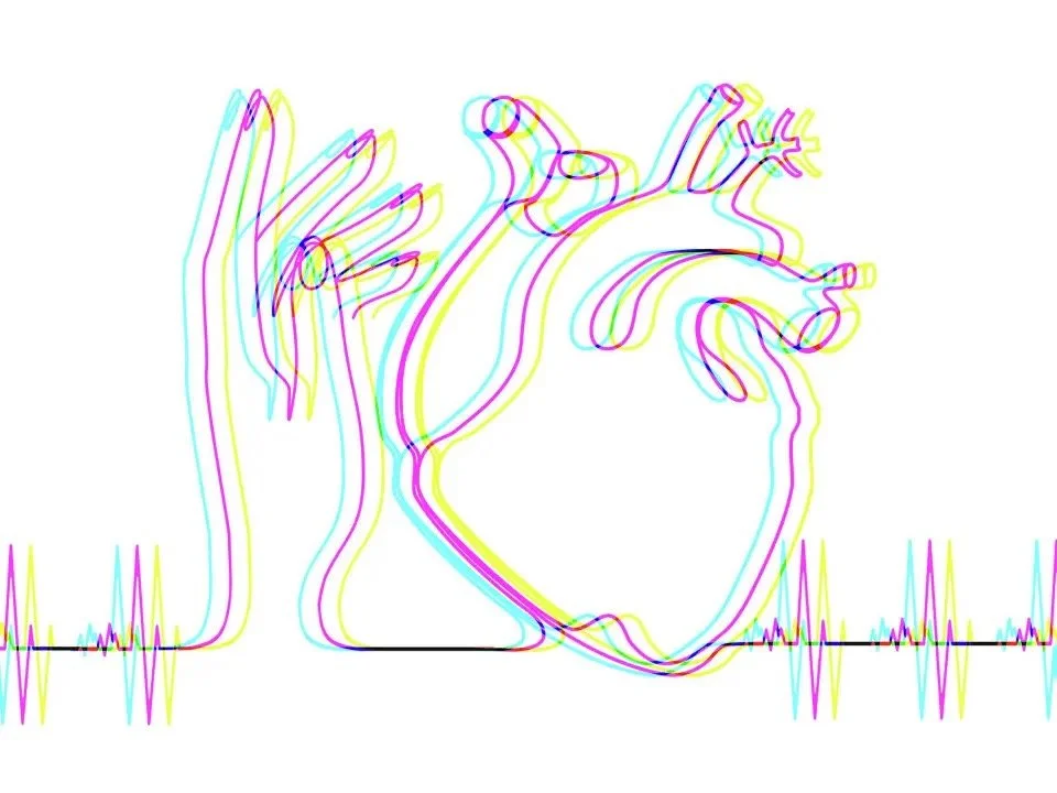 After my wife died, she continued to help others through organ donation