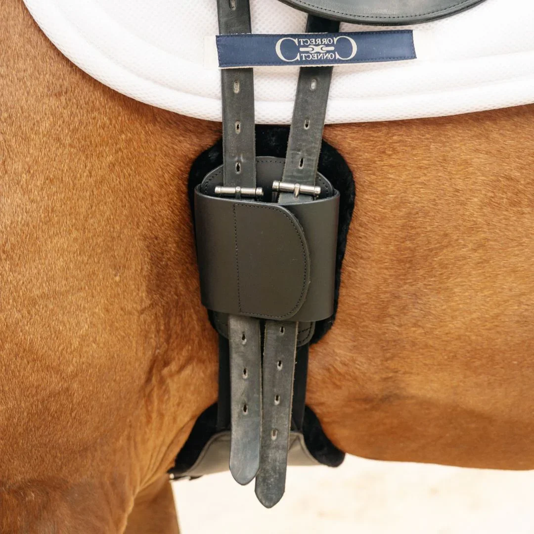 Correct Connect Pressure Relief Short Girth -Black