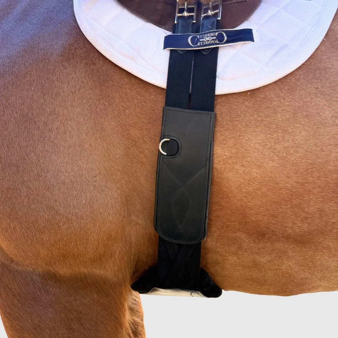 Correct Connect Pressure Relief Long Girth - Black