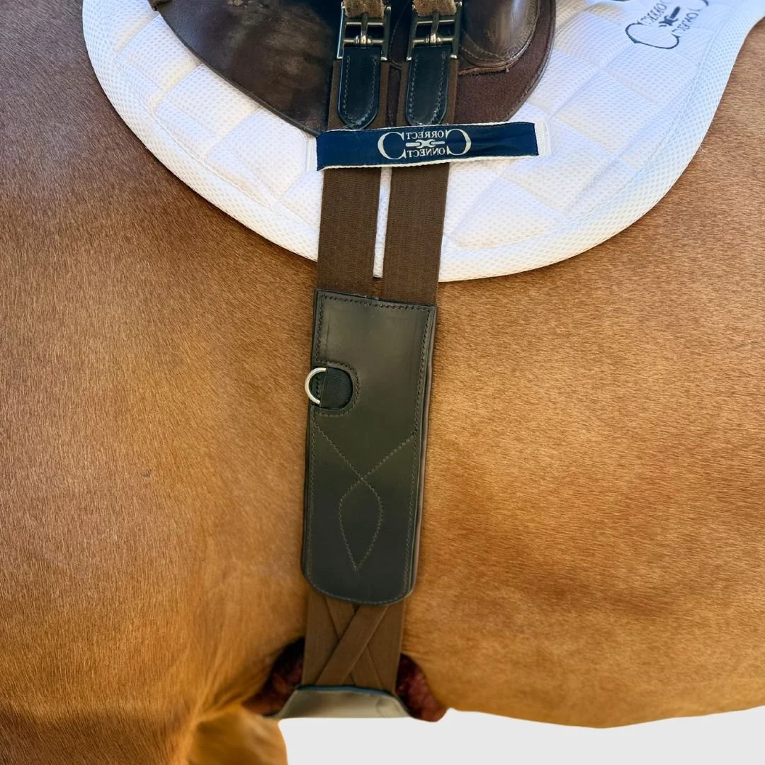 Correct Connect Pressure Relief Long Girth -Brown