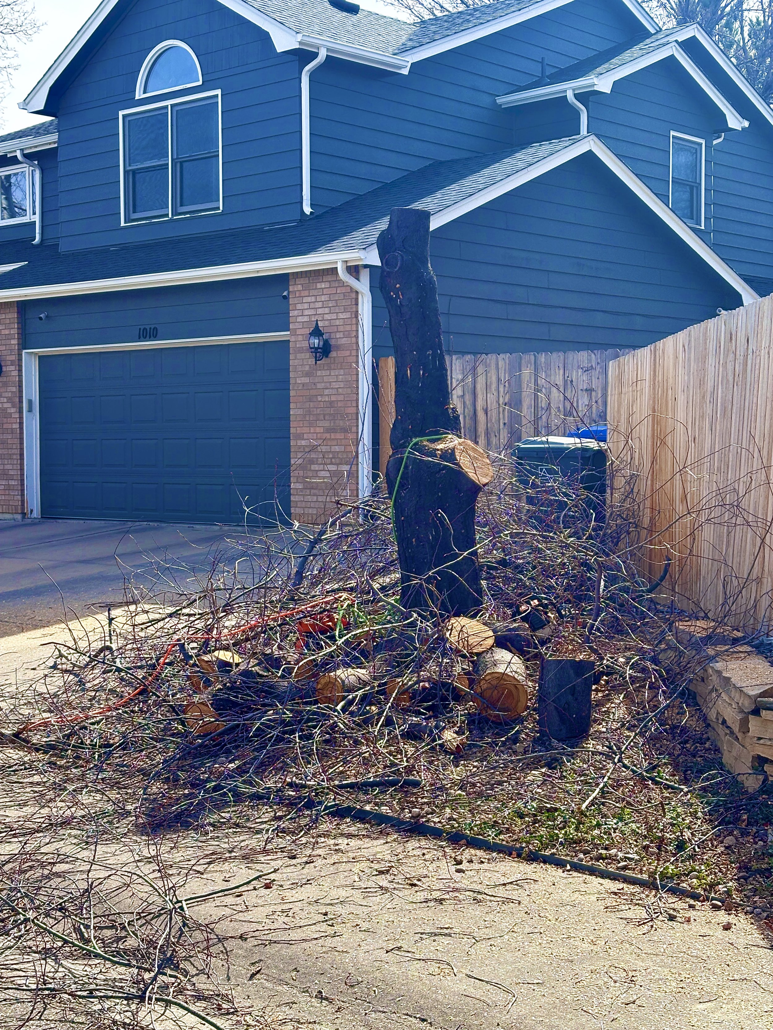 Tree, Shrub & Brush Removal