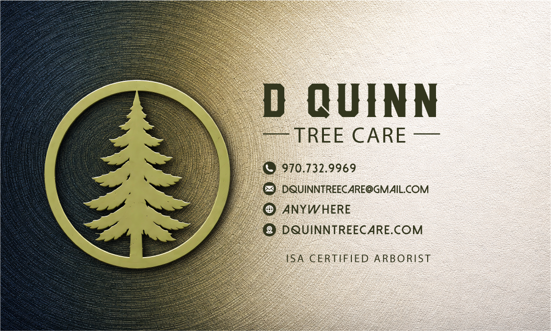 D Quinn Tree Care