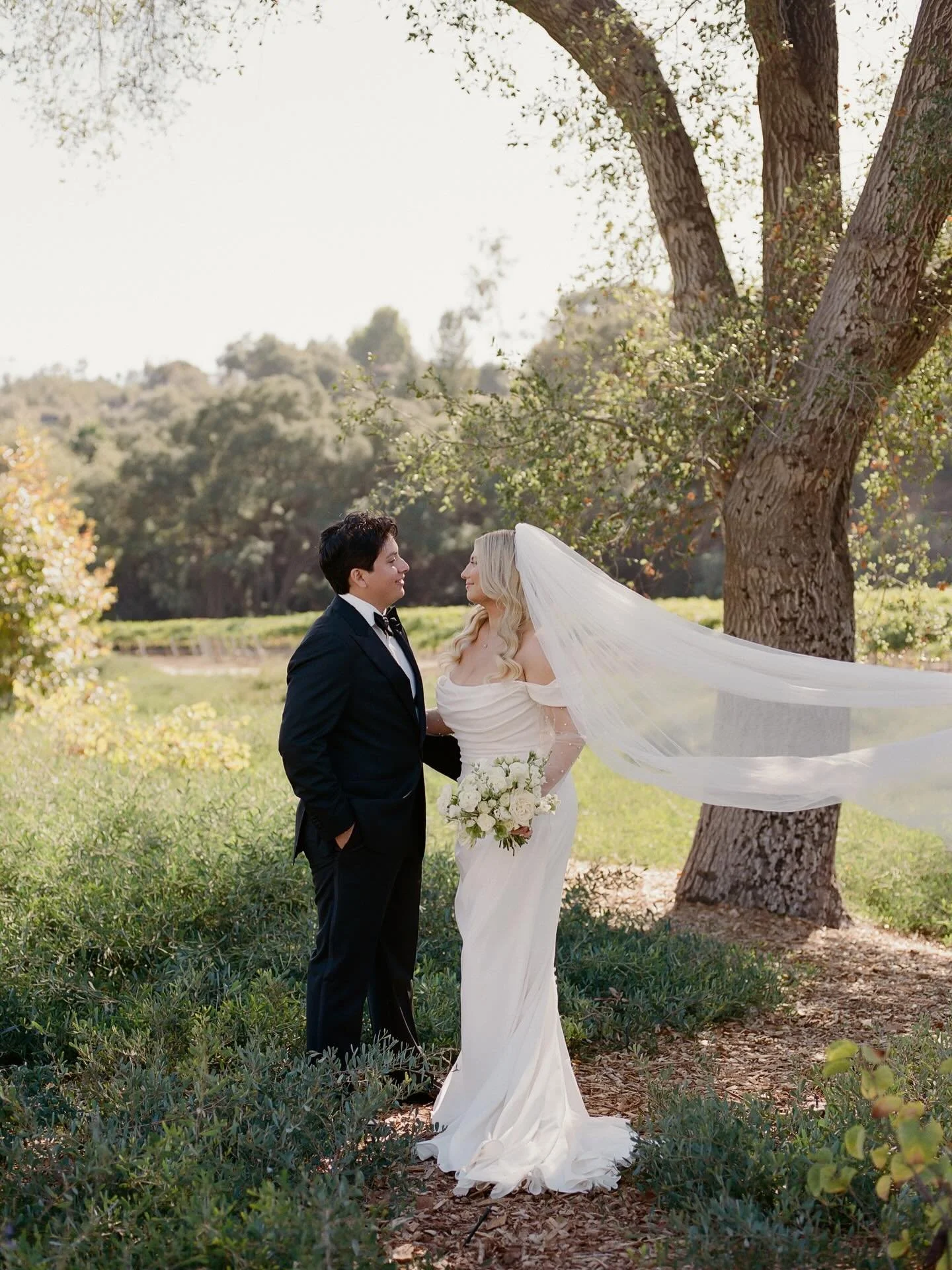 wrapped in sunlight &mdash;&mdash;