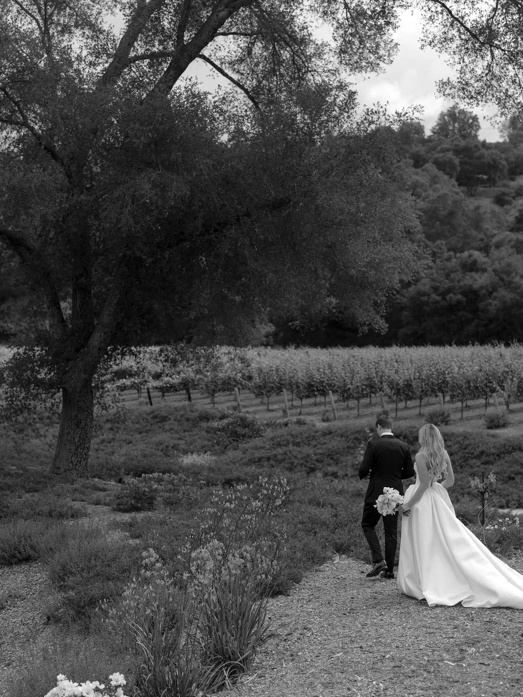 MonserateWinery-Fallbrook-California-Brooke+Mitchell-SajePhotography-13.jpg