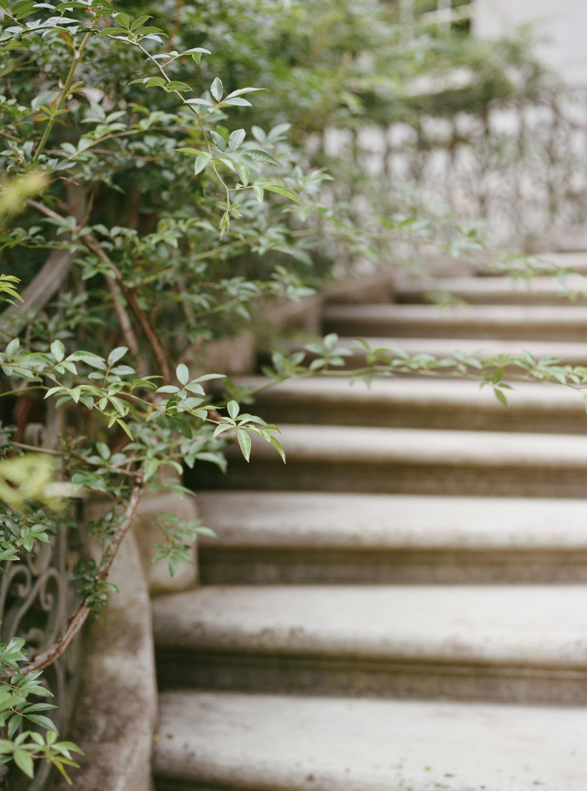 Outdoor wedding ceremony at Swan House Atlanta History Center with elegant garden and estate backdrop.