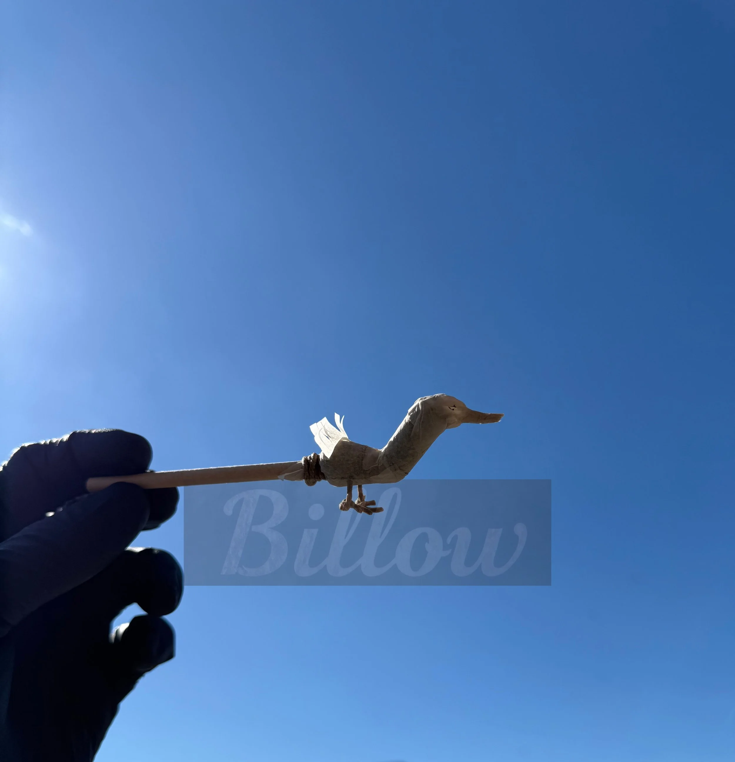 photo-output.jpeg