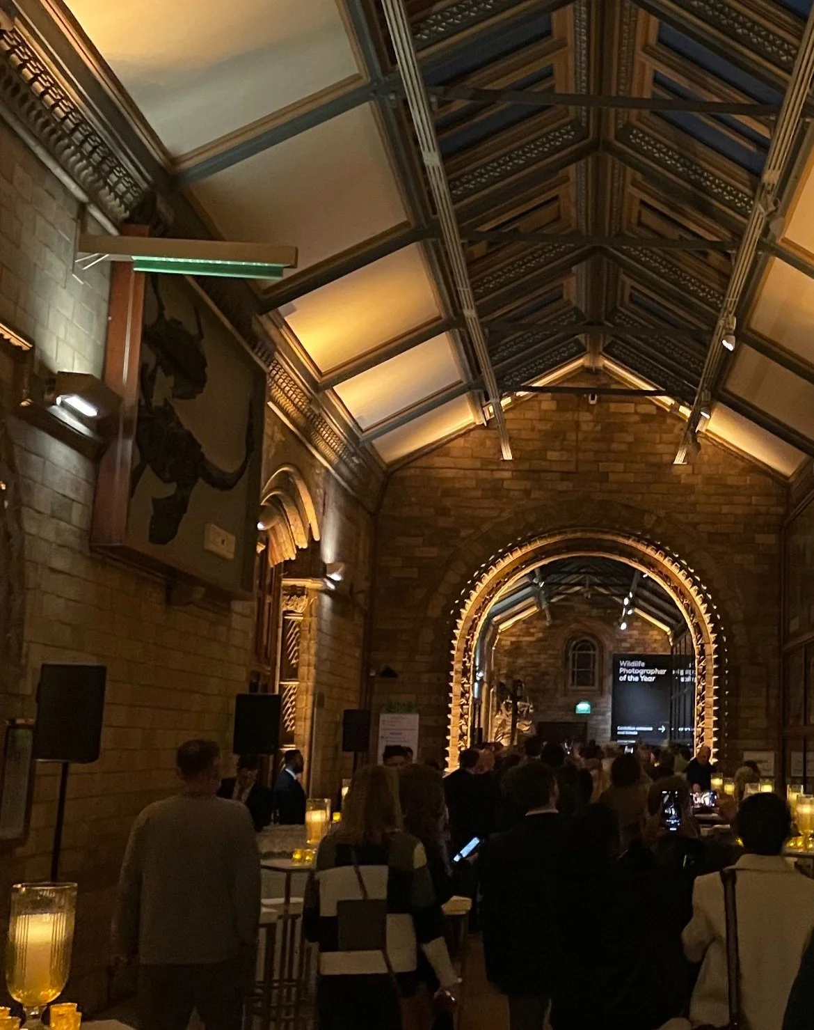 VIP Gala - Museum of Natural History, London