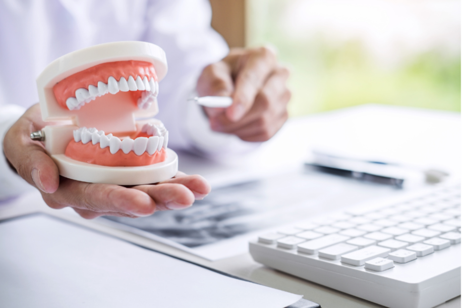 A person holding a dental model with a set of teeth, while sitting at a desk with a keyboard and a computer mouse, possibly at a dentist's office or dental clinic.