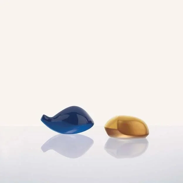 Compagno